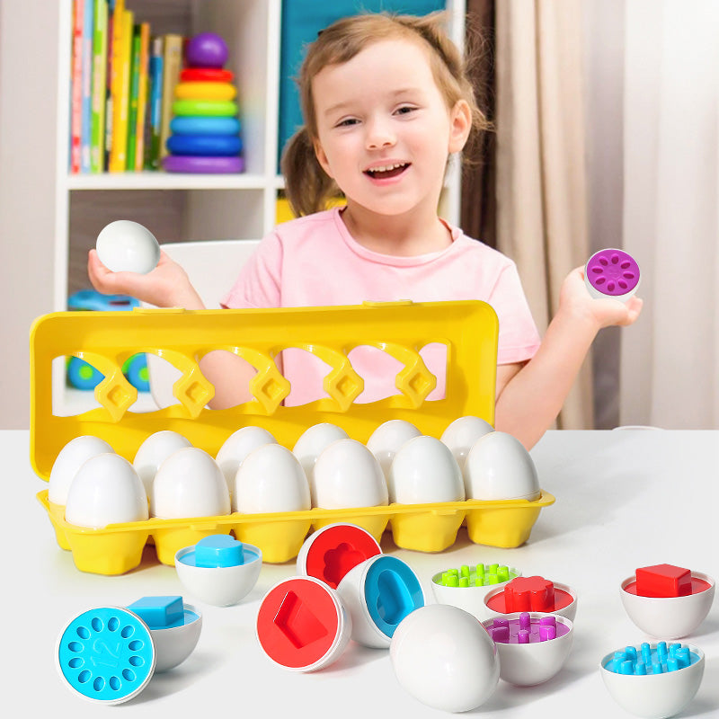 Montessori Egg Shape Matching Toy