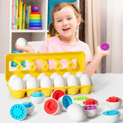Montessori Egg Shape Matching Toy